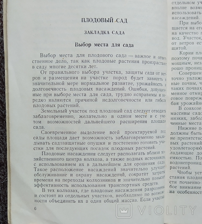 Колхозный сад ( Сельхозгиз - 1956 год)., фото №5