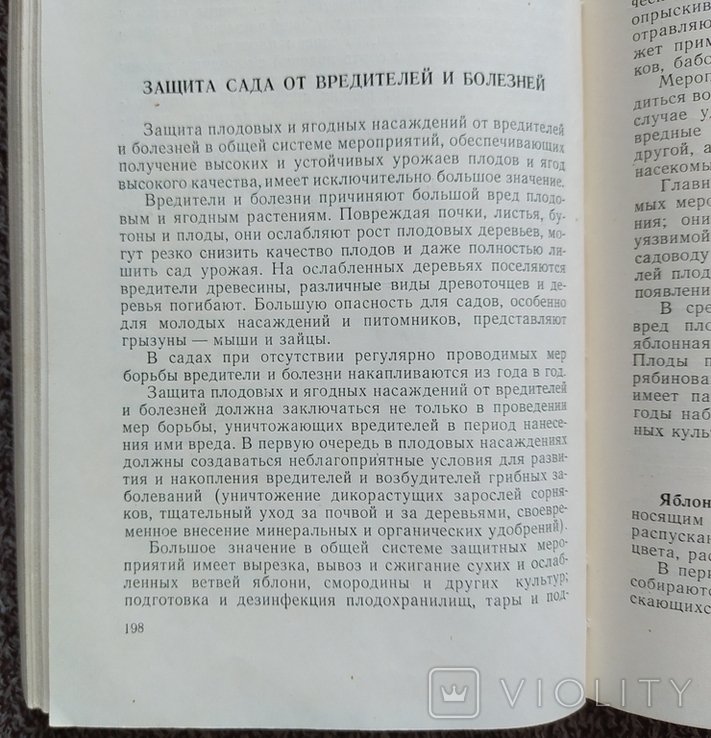 Колхозный сад ( Сельхозгиз - 1956 год)., фото №9