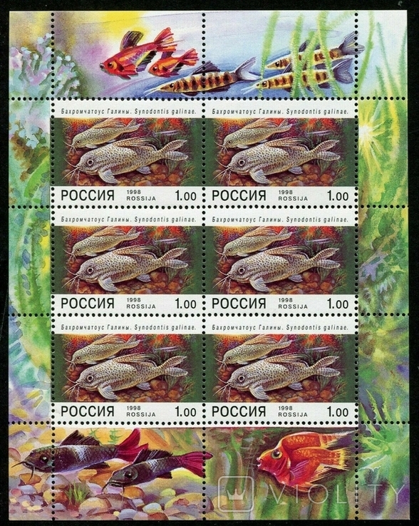 Россия 1998 МЛ аквариумные рыбы