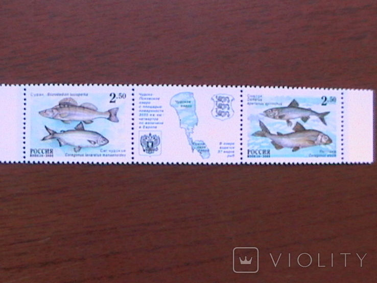 Россия 2000 рыбы Псковско-Чудского озера