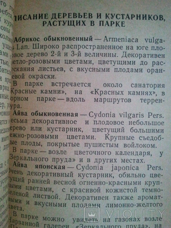Kislovodsk Park. Guide. 1958 g., photo number 7