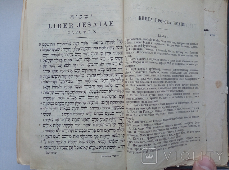 Священная книга Ветхого Завета, том 2, 1913 год, Берлин, фото №8