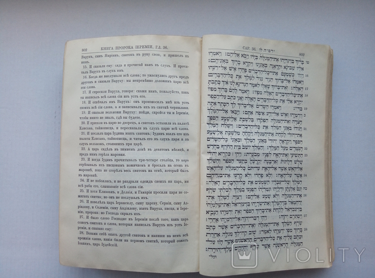 Священная книга Ветхого Завета, том 2, 1913 год, Берлин, фото №10