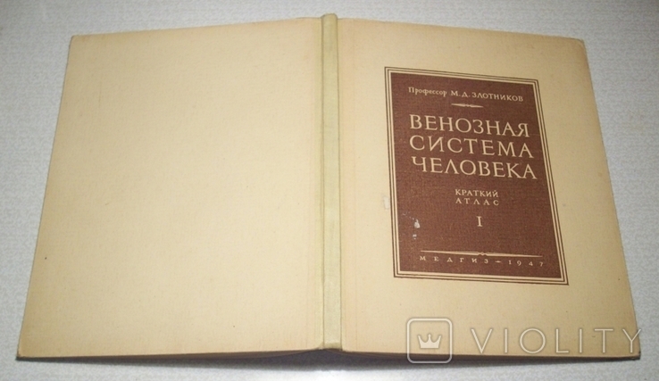 Венозная система человека. (Злотников), фото №3