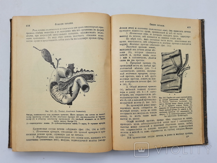 1903 р. Людина і тваринний світ, фото №6