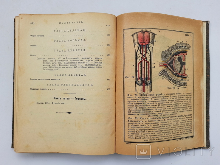 1903 р. Людина і тваринний світ, фото №8