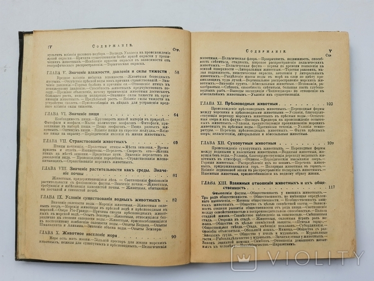 1911 г. География животных Российской Империи (и вообще), фото №6