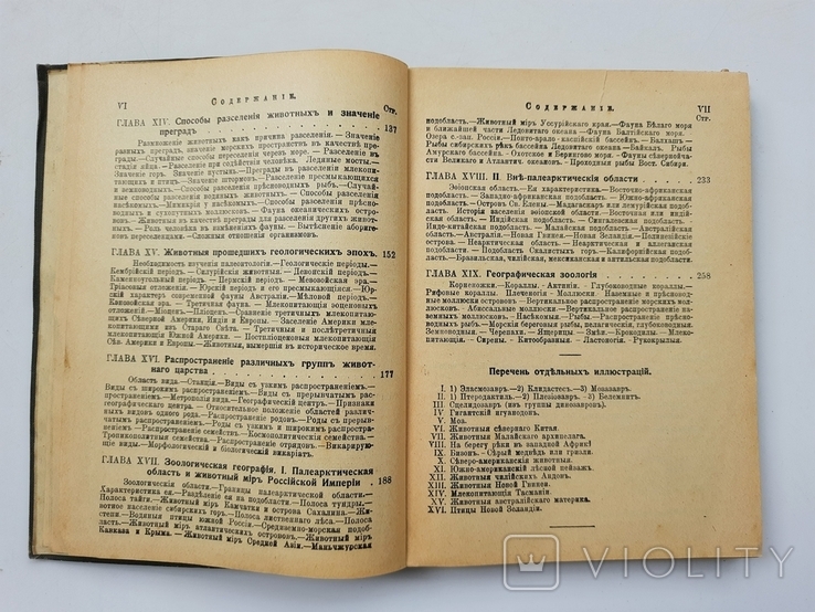 1911 г. География животных Российской Империи (и вообще), фото №7