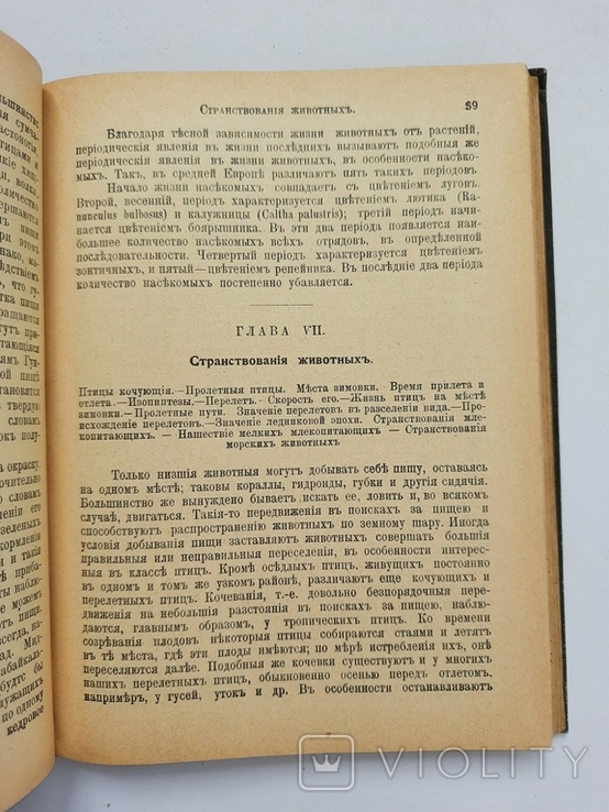 1911 г. География животных Российской Империи (и вообще), фото №8