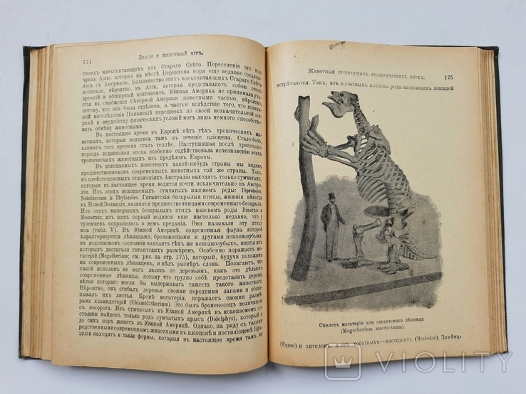 1911 г. География животных Российской Империи (и вообще), фото №10