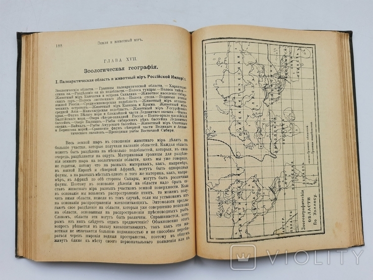 1911 г. География животных Российской Империи (и вообще), фото №11