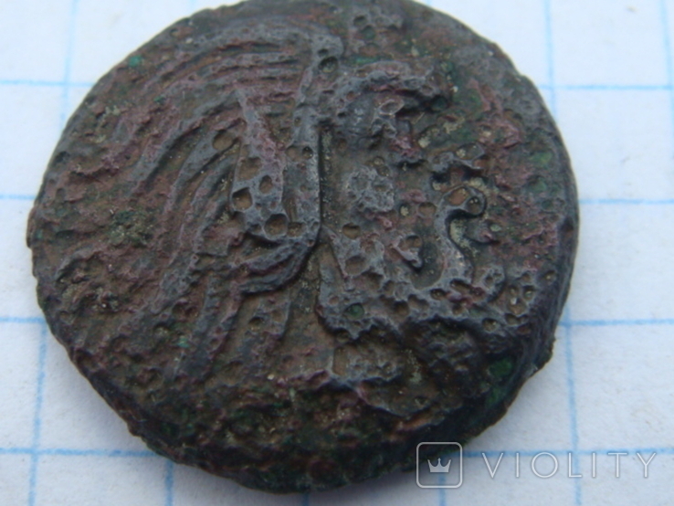 Монета Боспорского Царства 7