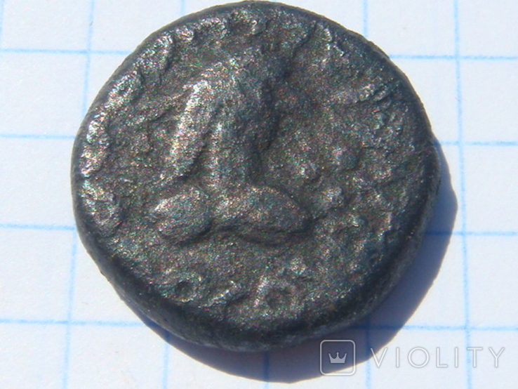 Монета Боспорского Царства 4