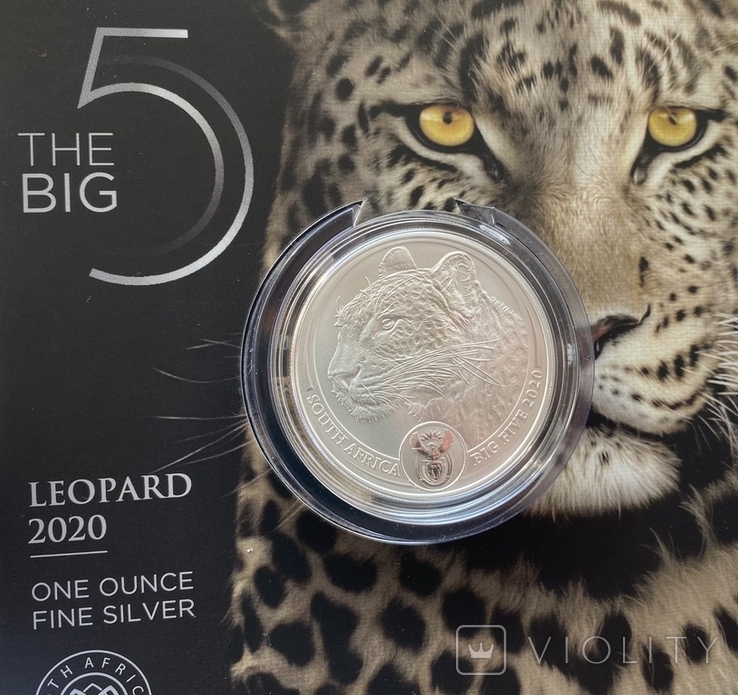 Леопард ЮАР Большая пятерка Африка 2020, фото №2