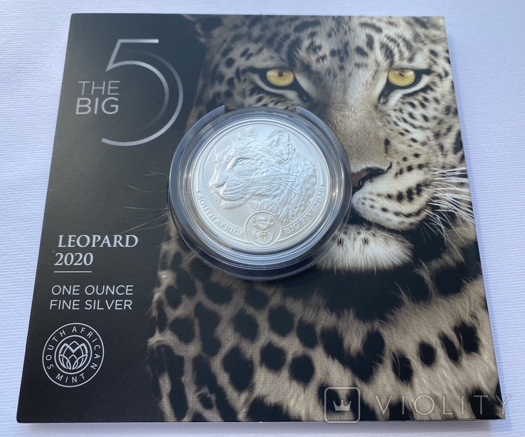 Леопард ЮАР Большая пятерка Африка 2020, фото №6