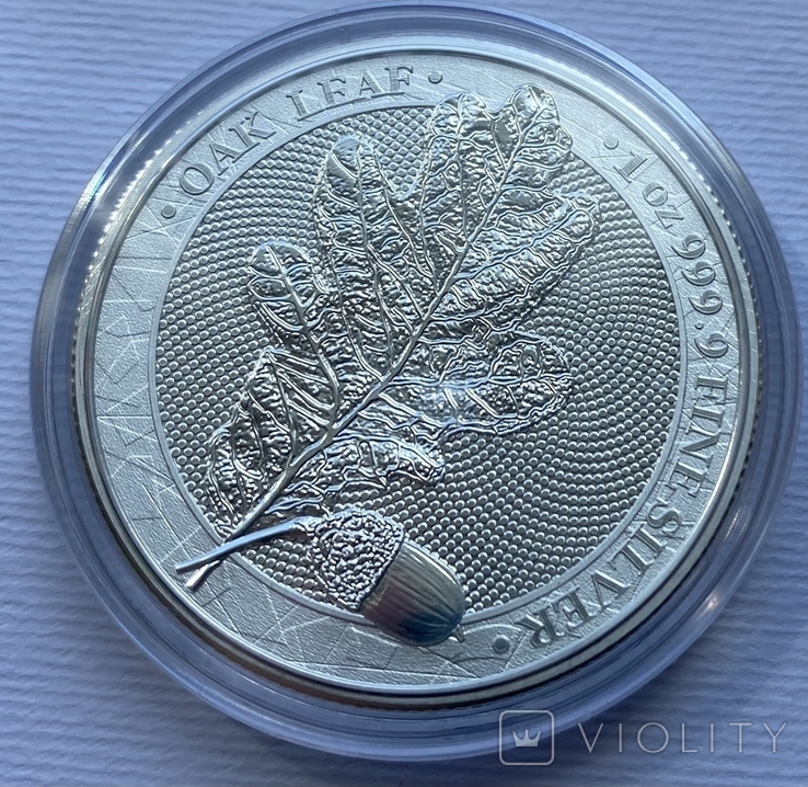 1-я в серии Мифический лес Дубовый лист 2019 Germania Mint, фото №11