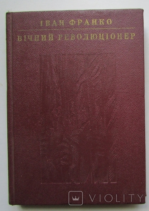  Іван Франко. Вічний революціонер. Київ: Дніпро, 1978.- 143 с., фото №2