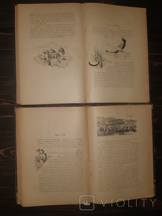 1893 По Белу-свету. По трём частям старого света 1-2 тома, фото №6