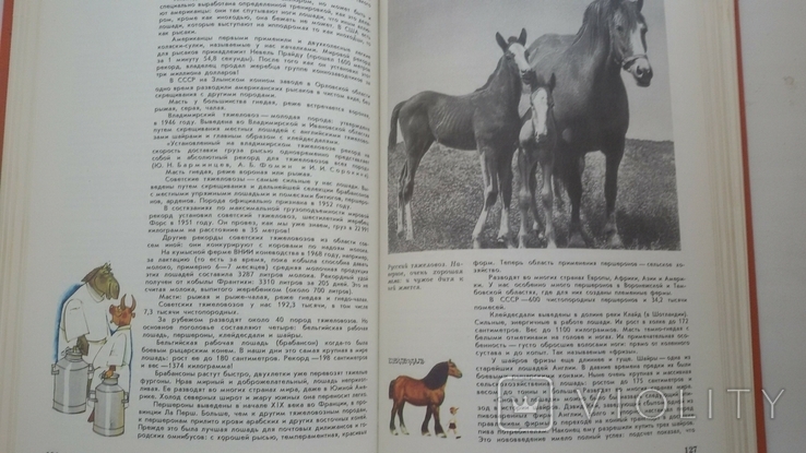 "соседи по планете" в 1982 году автор удостоен европейской премии, фото №9