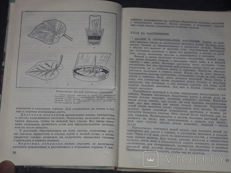 Д. Ф. Юхимчук - Комнатное цветоводство 1979 год, numer zdjęcia 4