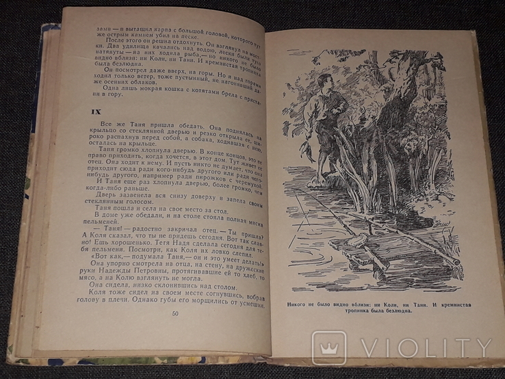 Р. Фраерман - Дикая собака Динго или повесть о первой любви 1971 год, фото №8