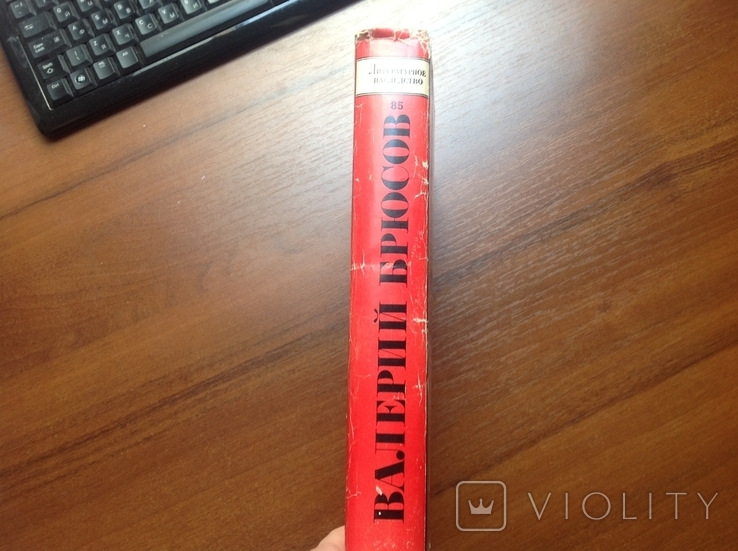 Литературное наследство. Том 85. Валерий Брюсов, фото №12