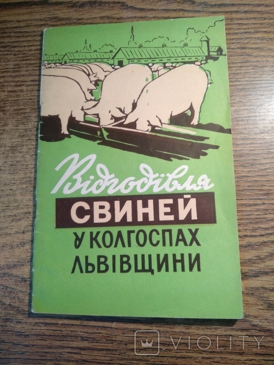 Відгодівля свиней у колгоспах Львівщини 1959 3000прим.
