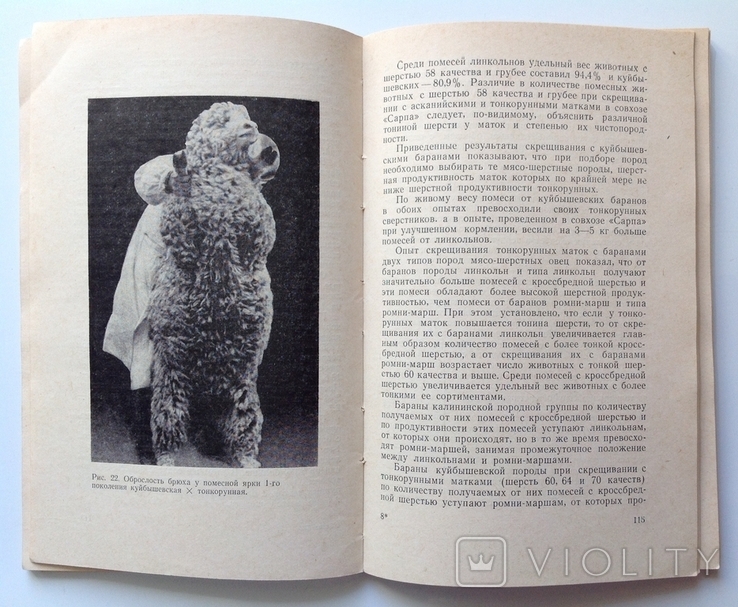 1966 Мясо-шерстное овцеводство. Буйлов С.В., Курганский В.М., фото №12