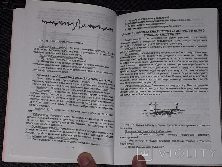 Методичні вказівки до практикуму з фізіології людини і тварин 2003 рік, фото №6