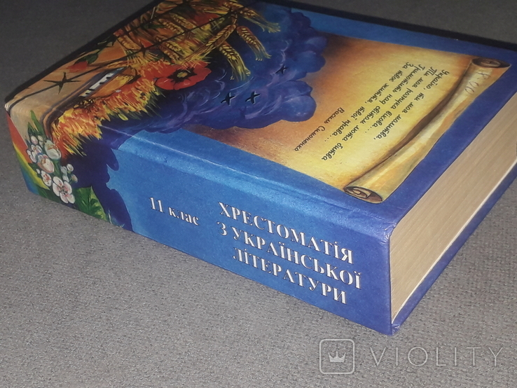 Хрестоматія з української літератури 11 клас 1998 рік, фото №12