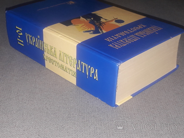 Українська література. Хрестоматія 10-11 клас 2005 рік, фото №13