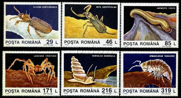 Румыния 1992 жуки, личинки