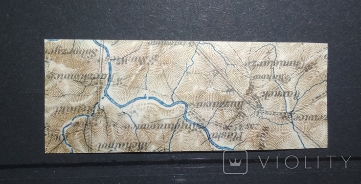Віденський випуск друк на карті. Україна УНР 1920, фото №3