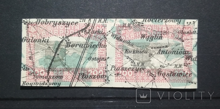 Віденський випуск друк на карті. Україна УНР 1920, фото №2