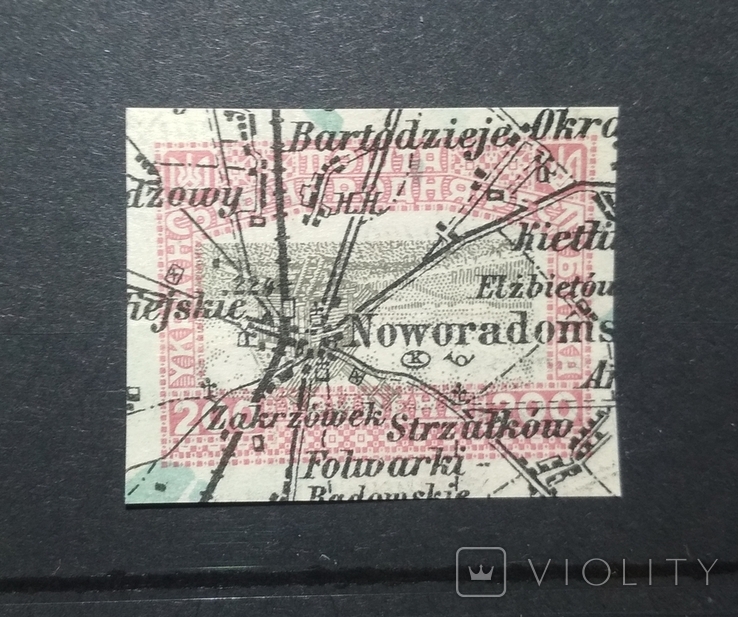 Віденський випуск друк на карті. Україна УНР 1920, фото №2