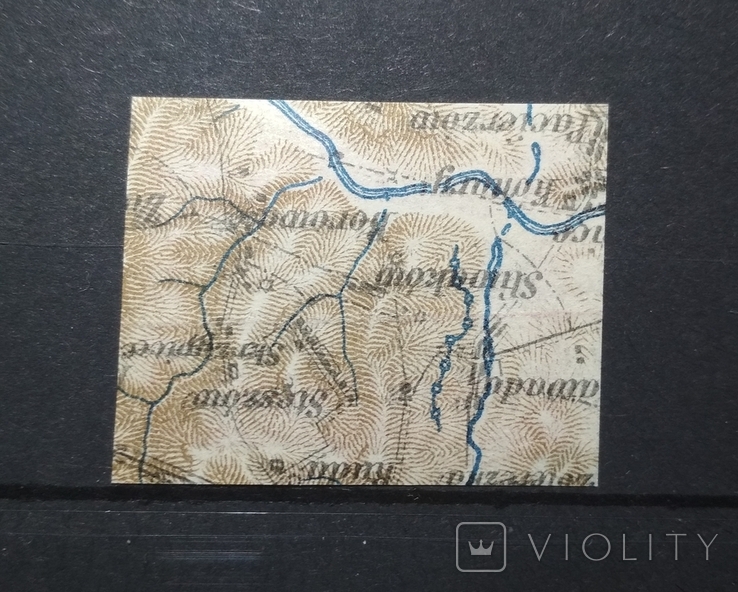 Віденський випуск друк на карті. Україна УНР 1920, фото №3