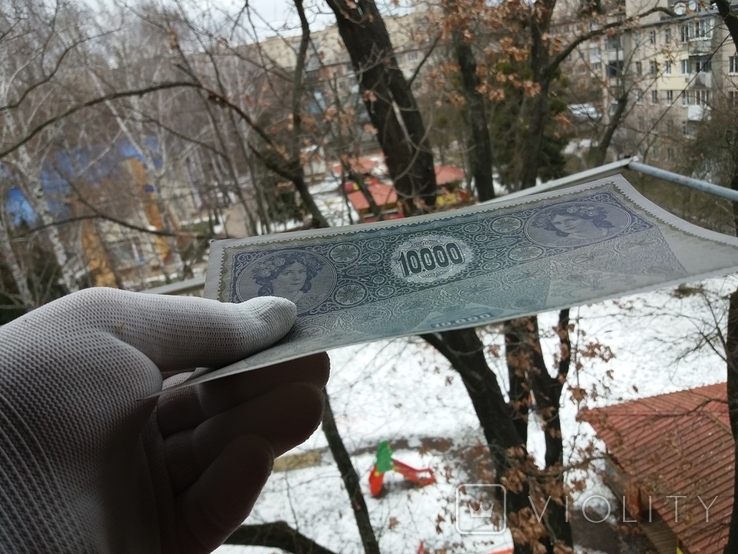 10000 крон 1918, фото №9