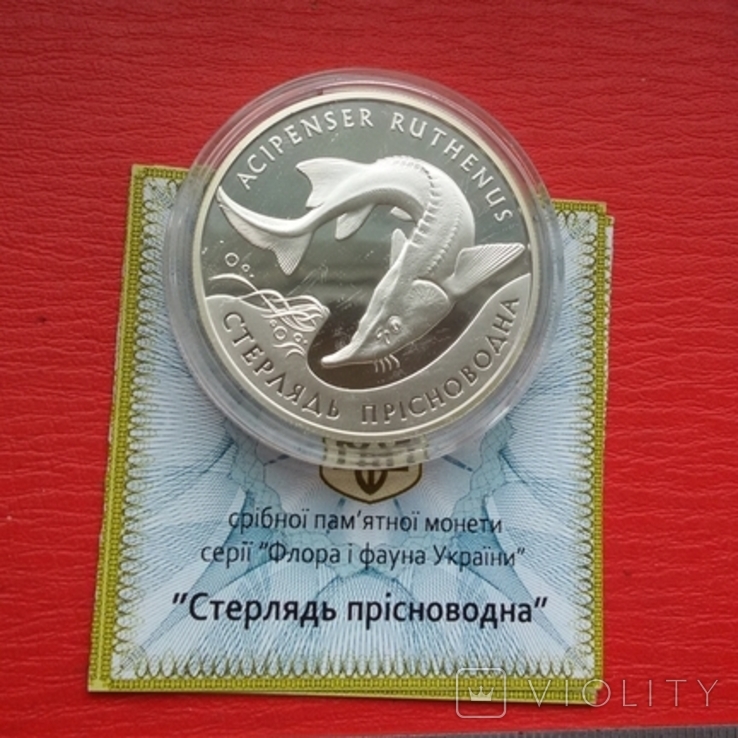 10 гривень 2012 р "Стерлядь прісноводна", фото №2