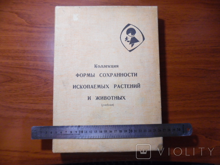  Колекція Форми збереження викопних рослин і тварин Частина 1, фото №2