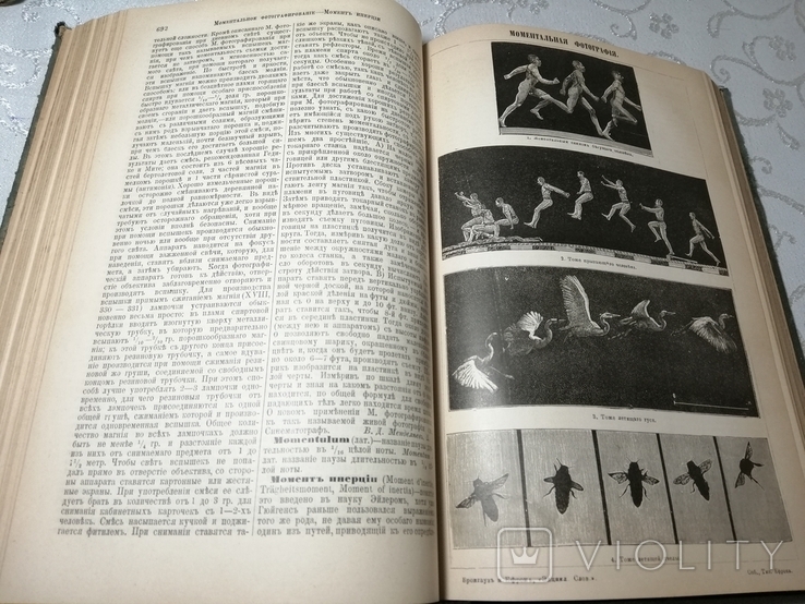 Энциклопедический словарь Брокгауз Ефрон 1896 год том 38, фото №5