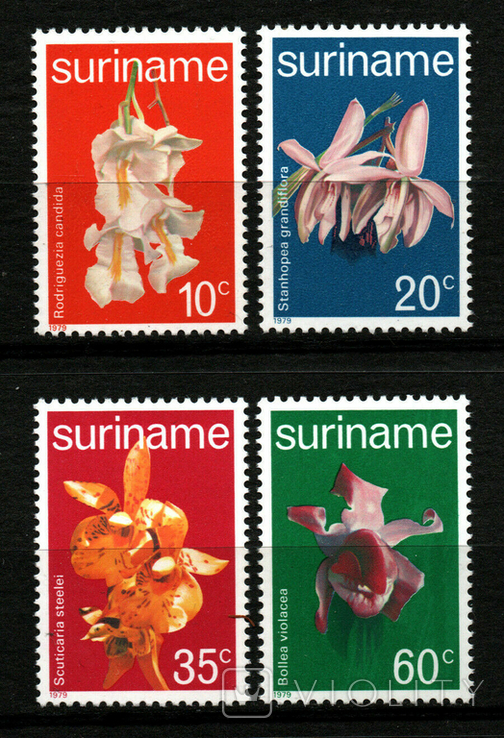 Суринам 1979 орхидеи