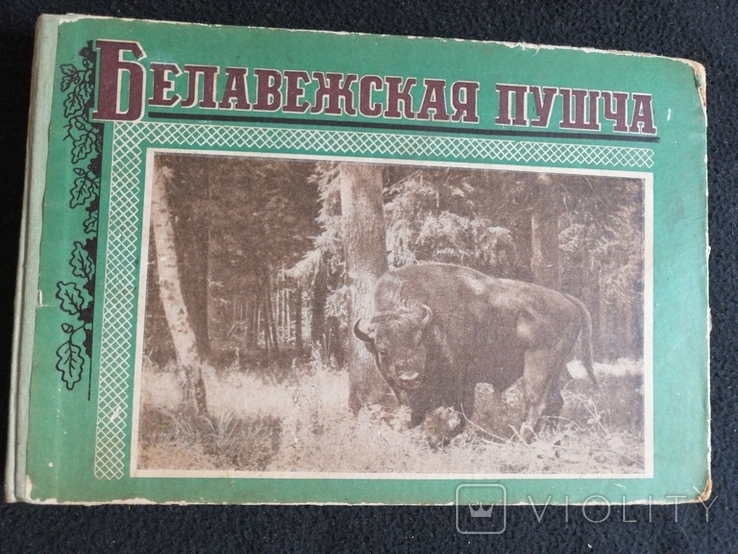 1957г.Белавежская Пушча.вид.Мінск.Альбом.74лис.Т.10000экз.22.5х15см., фото №2