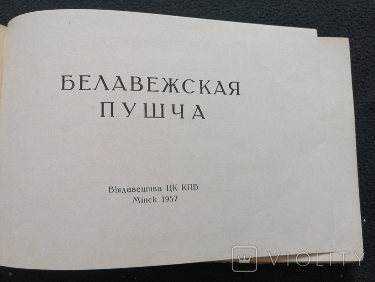 1957г.Белавежская Пушча.вид.Мінск.Альбом.74лис.Т.10000экз.22.5х15см., фото №4