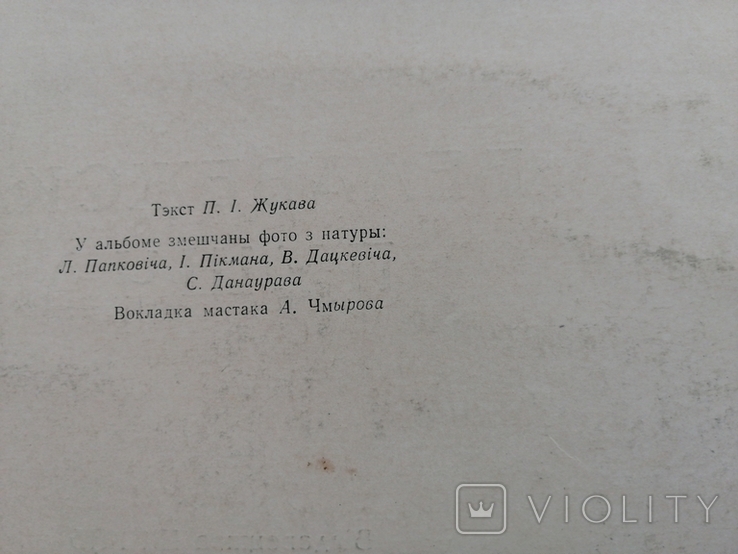 1957г.Белавежская Пушча.вид.Мінск.Альбом.74лис.Т.10000экз.22.5х15см., фото №5