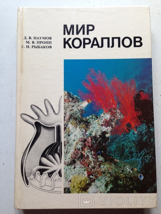 Мир кораллов.Наумов. Гидрометеоиздат,1985., фото №3