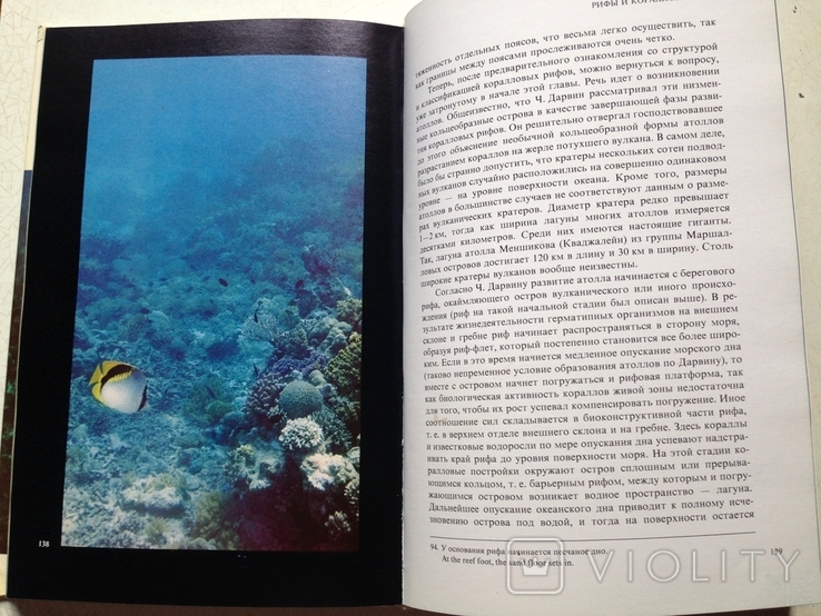 Мир кораллов.Наумов. Гидрометеоиздат,1985., фото №11