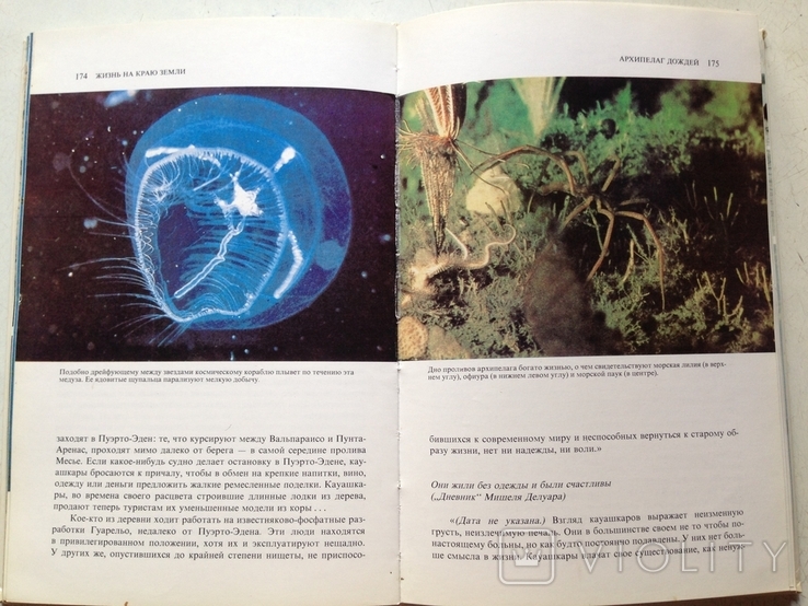 Жизнь на краю Земли. Кусто, Паккале. Гидрометеоиздат, 1984., фото №10