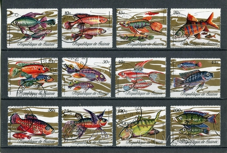 Гвинея, морская фауна, рыбки. 1971 г. (полная серия)