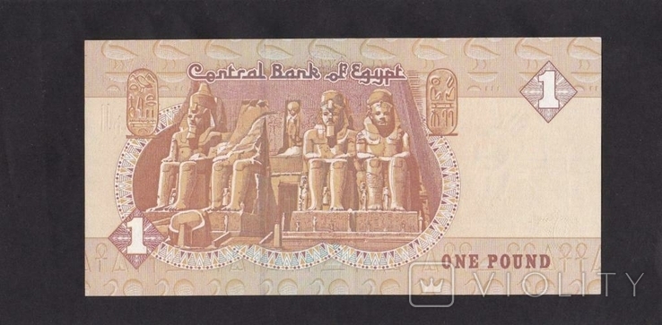 1 фунт. Єгипет. ., фото №3