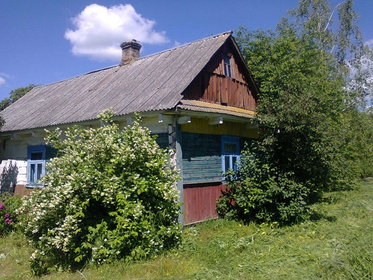 Дерев'яна хата (с.Овлочин Турійський р-н), numer zdjęcia 2